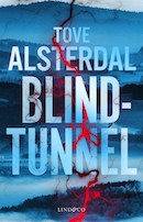 Omslag till Blindtunnel