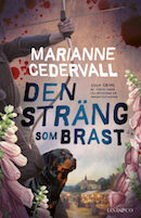 Omslag till Den sträng som brast